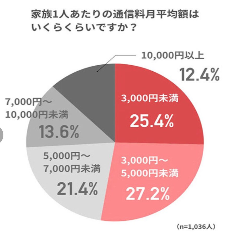 格安SIM　一人当たり